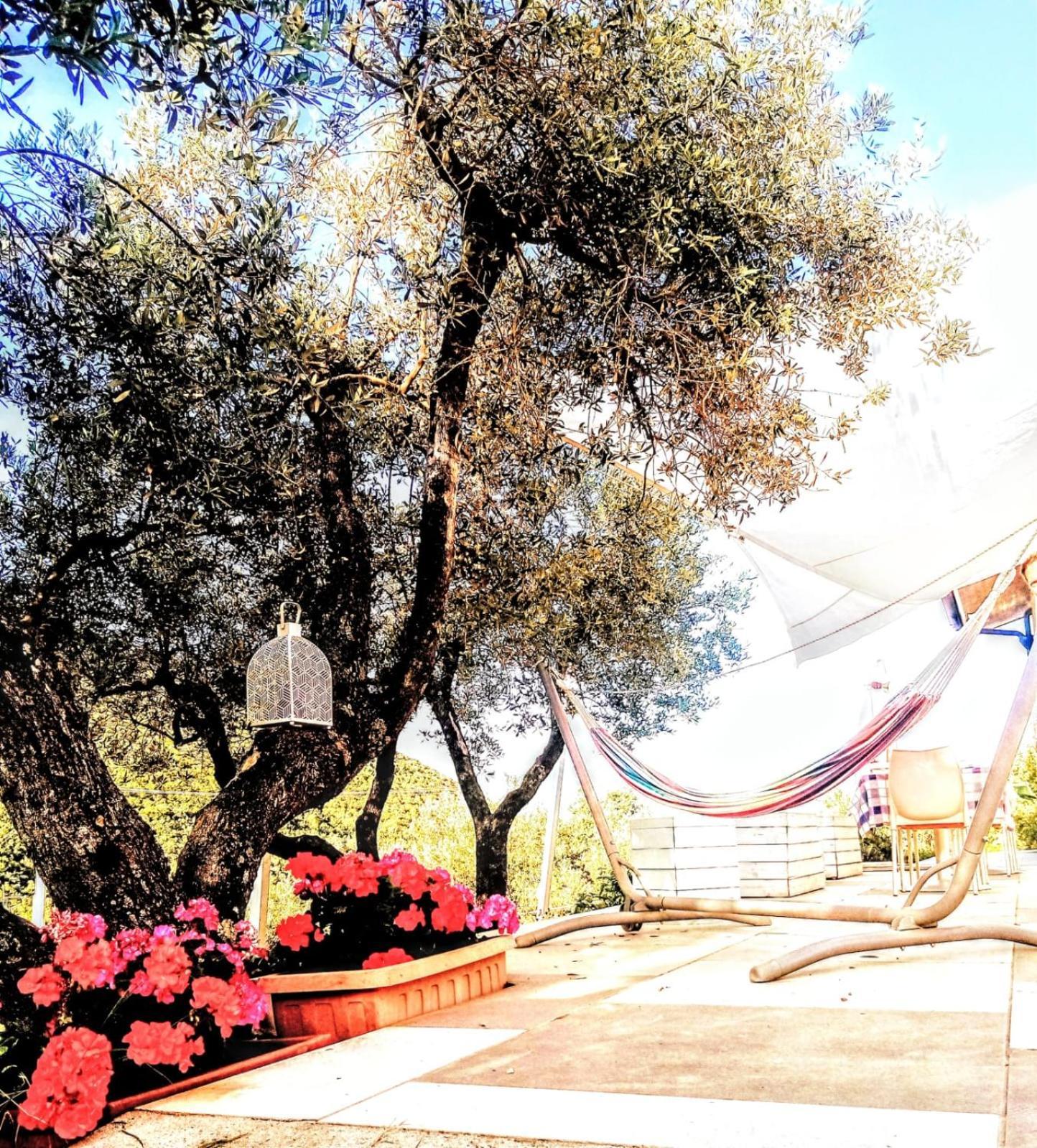 B&B Villa Giulia Capaccio Exterior photo